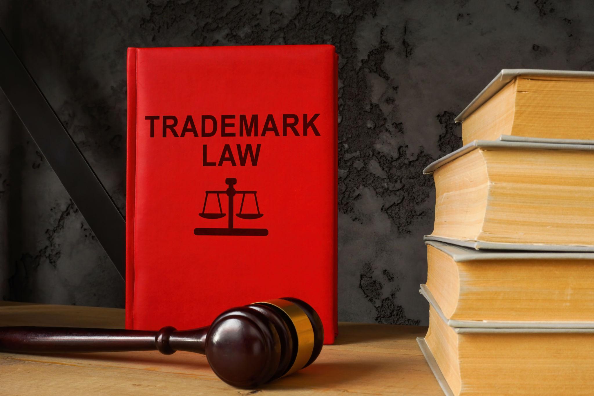 Trademark rectification vs trademark opposition in India legal dispute concept with documents and gavel